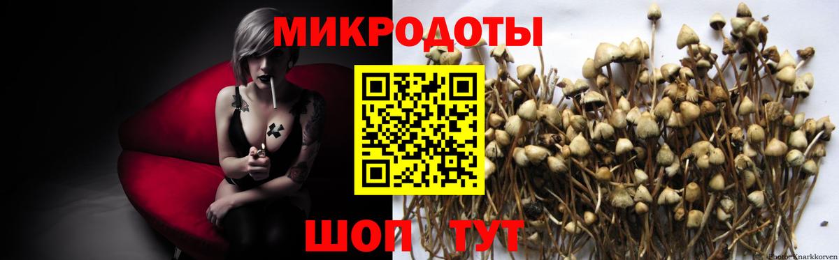 Псилоцибиновые грибы Psilocybine cubensis  Вход с VPN  Тольятти 